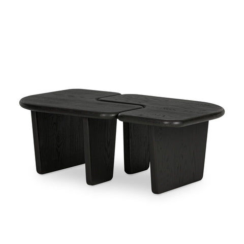 Kayin Coffee Tables Set of 2